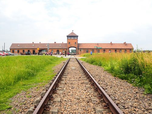 Leer mas Auschwitz